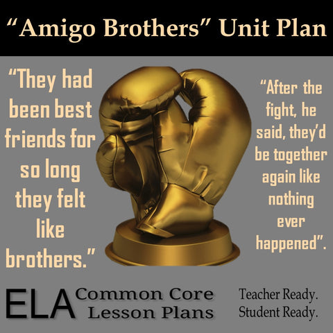 "Amigo Brothers" Unit Plan