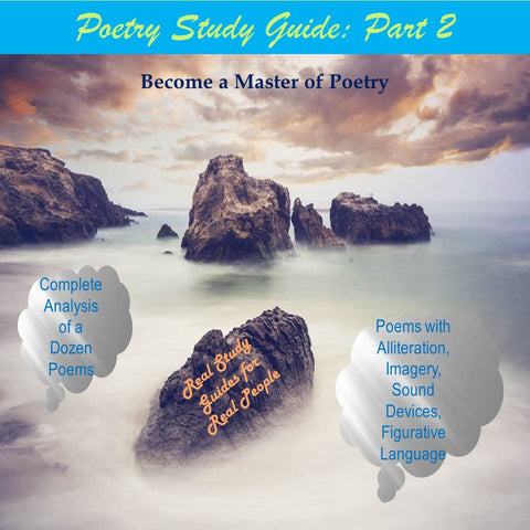 Elements of Poetry Study Guide: Part 2