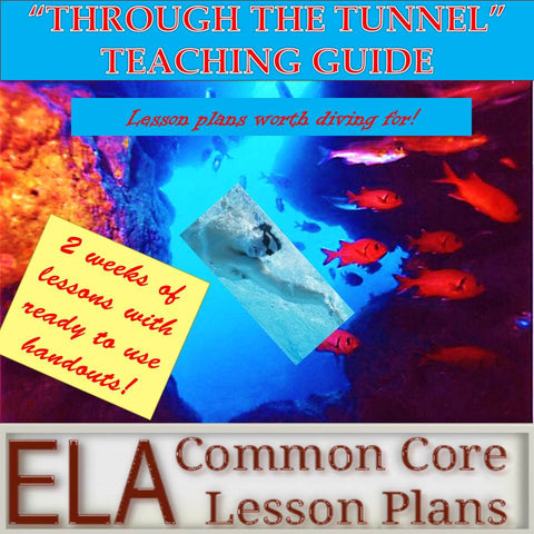 "Through the Tunnel" Teaching Guide
