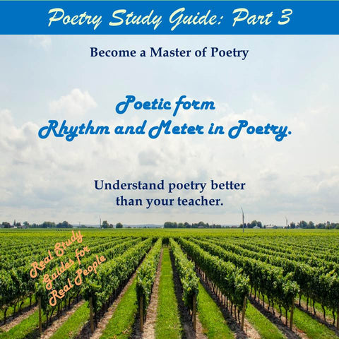 Elements of Poetry Study Guide: Part 3