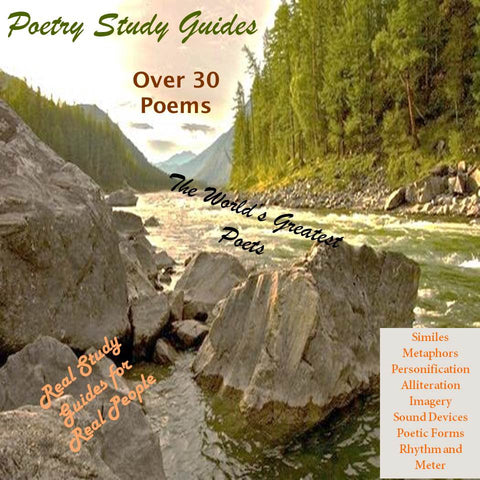 Elements of Poetry Study Guides