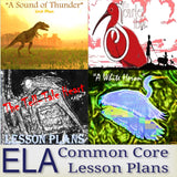 Complete Short Story Lesson Plan Collection